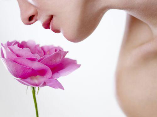 固元小康－健康會所